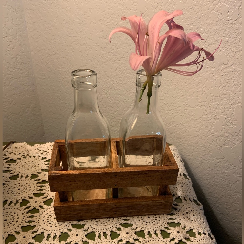 Glass Bottles in Wood Stand Minimalist Bud Vases